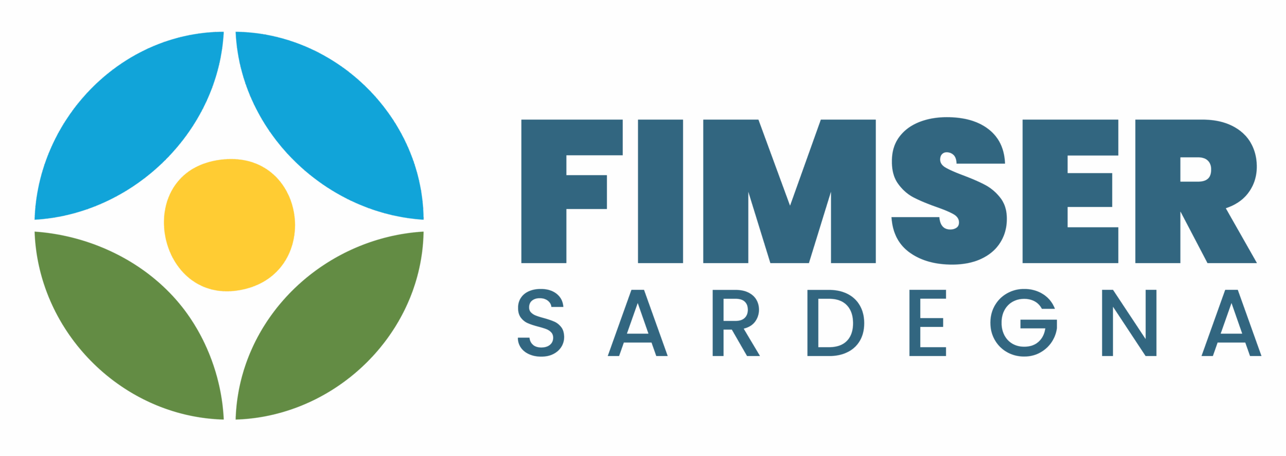 FIMSER