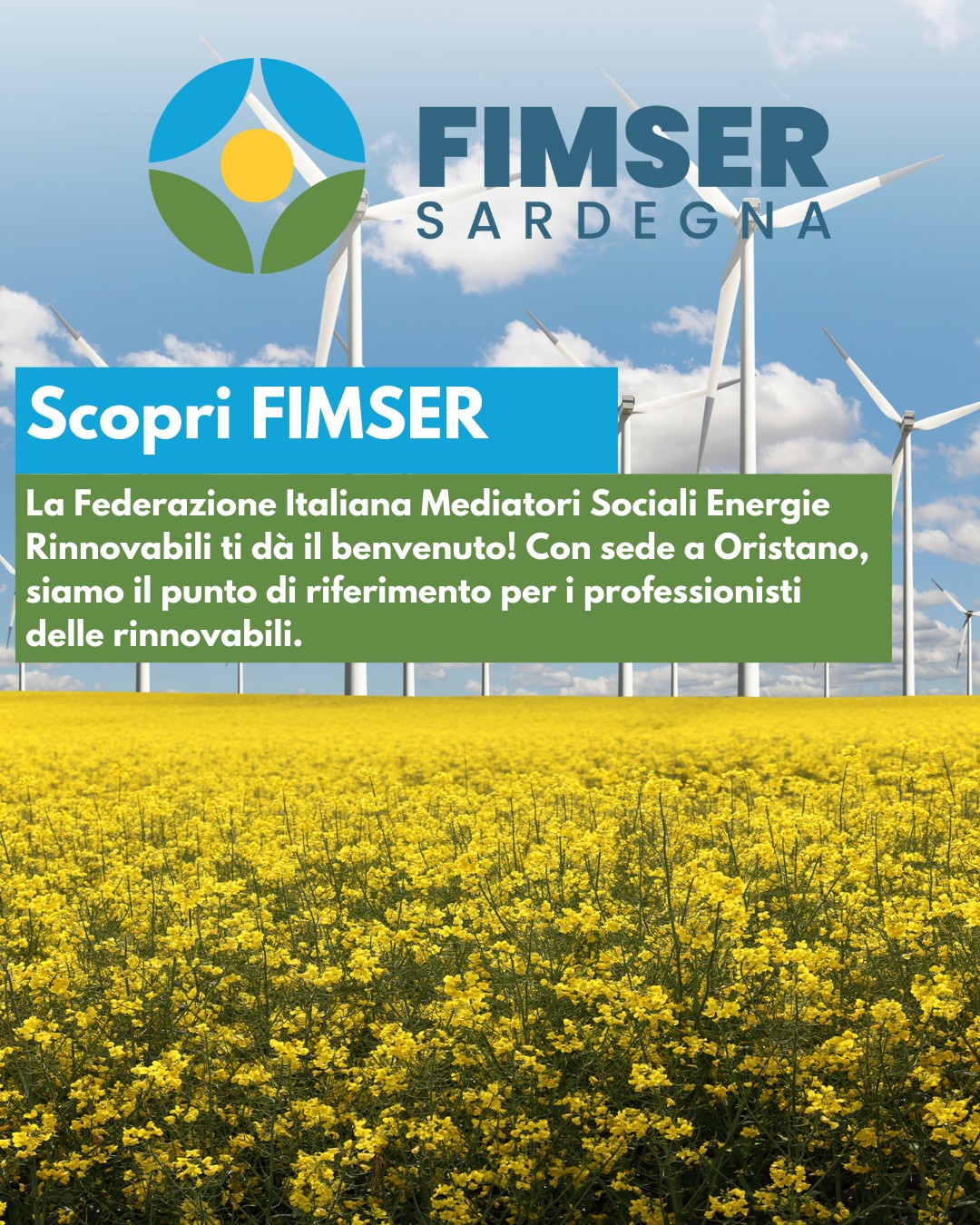🌱 Nasce una voce nuova per le energie rinnovabili 🌱